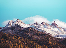 开云体育官网-还原苏宁夺冠现场：领奖破了规矩 奥帅重量被叫苦